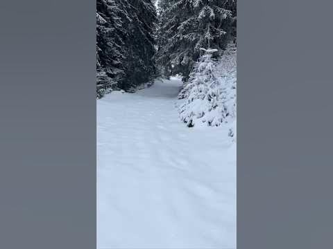 Туман в Карпатах - YouTube