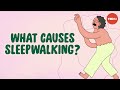 Gibberish Urine And Utter Chaos What Happens When You Sleepwalk Emmanuel During Gibberish Urine And Utter Chaos What Happens When You Sleepwalk Emmanuel During