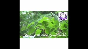 سورة النصر - الشيخ محمد البيطار