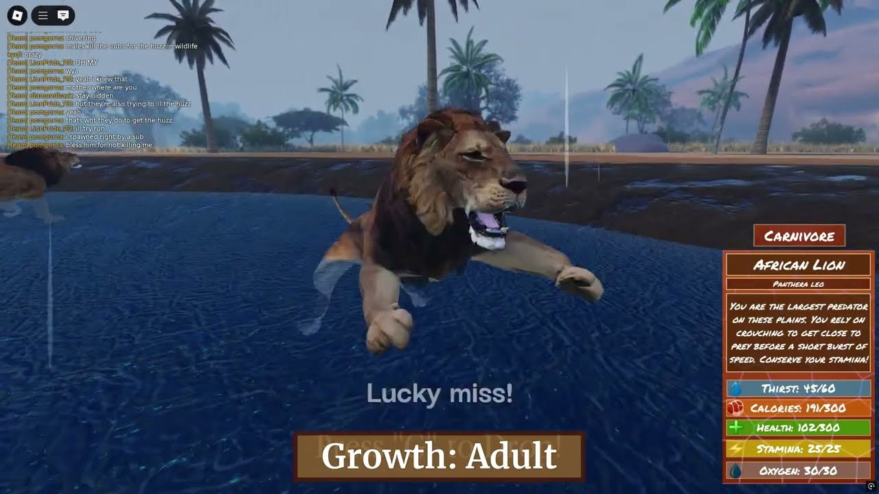 Intense fight to save cubs