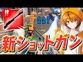 リークも出てない「ワンパンし放題」なシーズン3最高武器を使う、はむっぴ【フォートナイト/Fortnite】