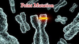 Point Mutation- Nonsense mutation, Missense mutations, Silent mutations