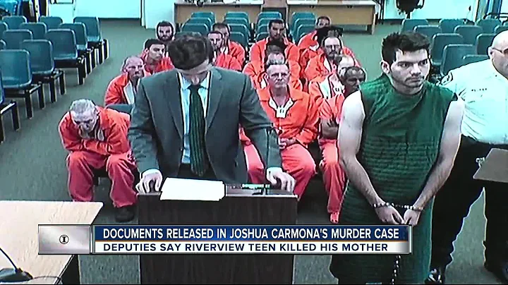 Documents released in Joshua Carmona's Murder case
