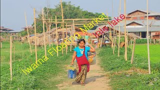 Мьянма ( Бирма ) Деревня Ивама на озере Инле / Myanmar. Iwama Floating Market on Inle lake