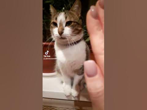 Ладушки -ладушки /ladushki-ladushki - YouTube
