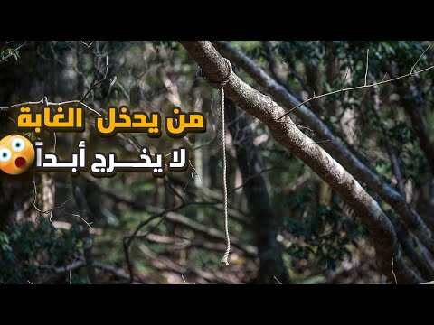 غابة أوكيغاهارا المرعبة من يدخلها لا يخرج أبدأ