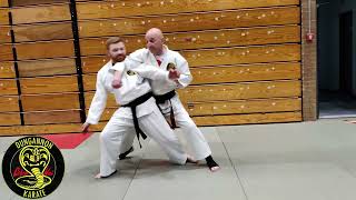 2 Lower Block Bunkai Applications