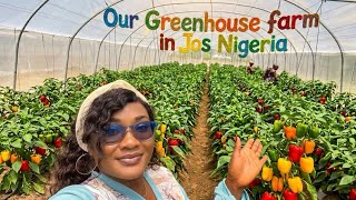 Our GreenHouse Farm In Jos Nigeria 🇳🇬  #goviral