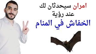 امران سيحدثان لك إذا رأيت الخفاش في المنام l تفسير حلم رؤية الخفاش في المنام بالتفصيل