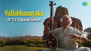 Vallabhanayaka | Dr. T.V. Gopalakrishnan | Muthuswamy Dikshitar | Carnatic Music | Ragas
