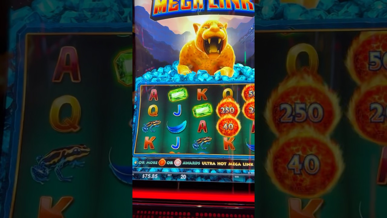 accommodation close to crown casino melbourne WHOA!MEGA LINK BONUS ROUND KICKED BUTT! shorts vertical slot