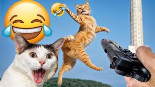New Funny Animals😹🐶Best Funny Dogs and Cats Videos Of The Week😍Part 17