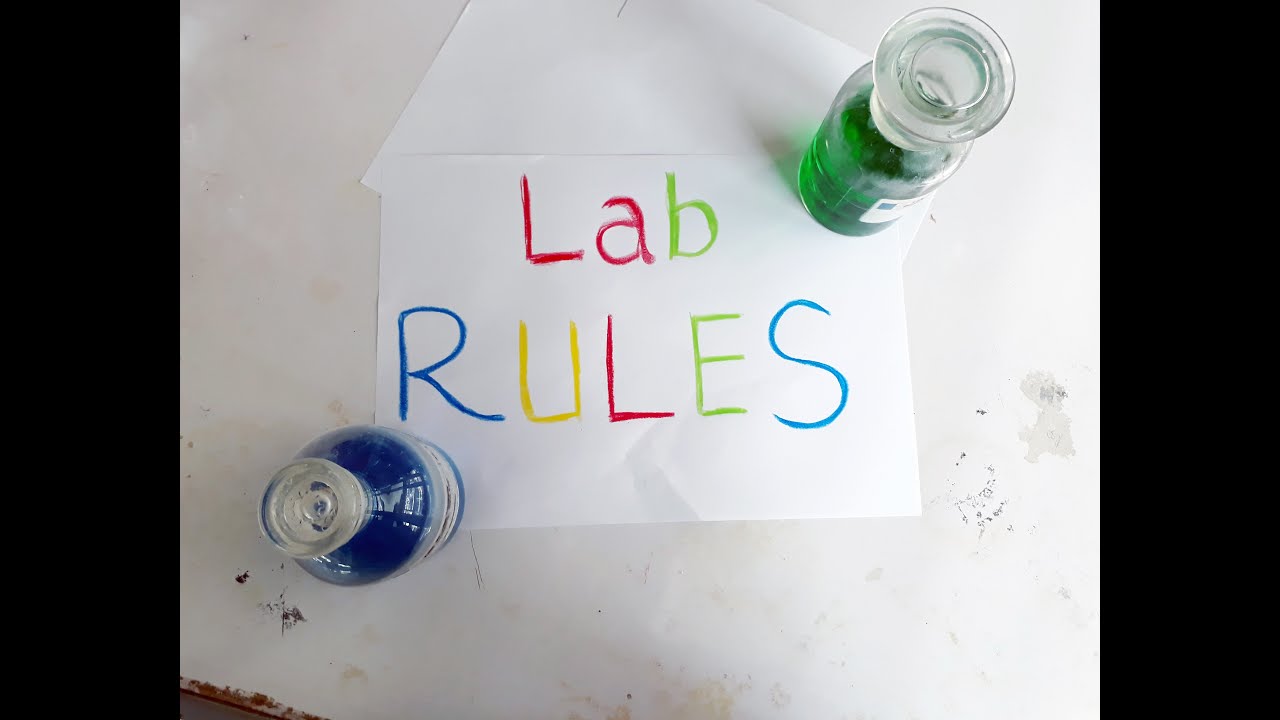 Lab Rules Asapscience Dua Lipa New Rules Parody Parody YouTube Lab Rules Asapscience Dua Lipa New Rules Parody Parody YouTube