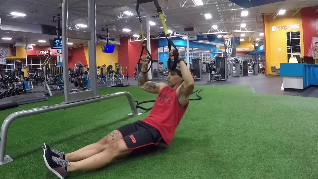 TRX Seated Pull Ups - YouTube