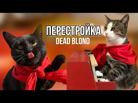 Клипы Под Песни Dead Blonde Альбом «Перестройка»