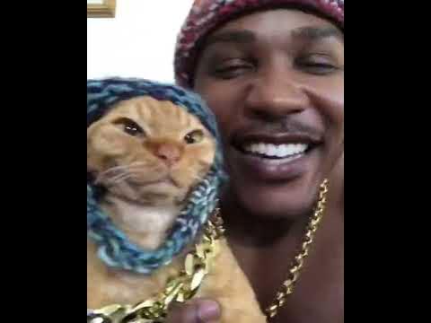 In my feelings Cat Rap Challenge - iAmMoshow & Dj Ravioli - YouTube