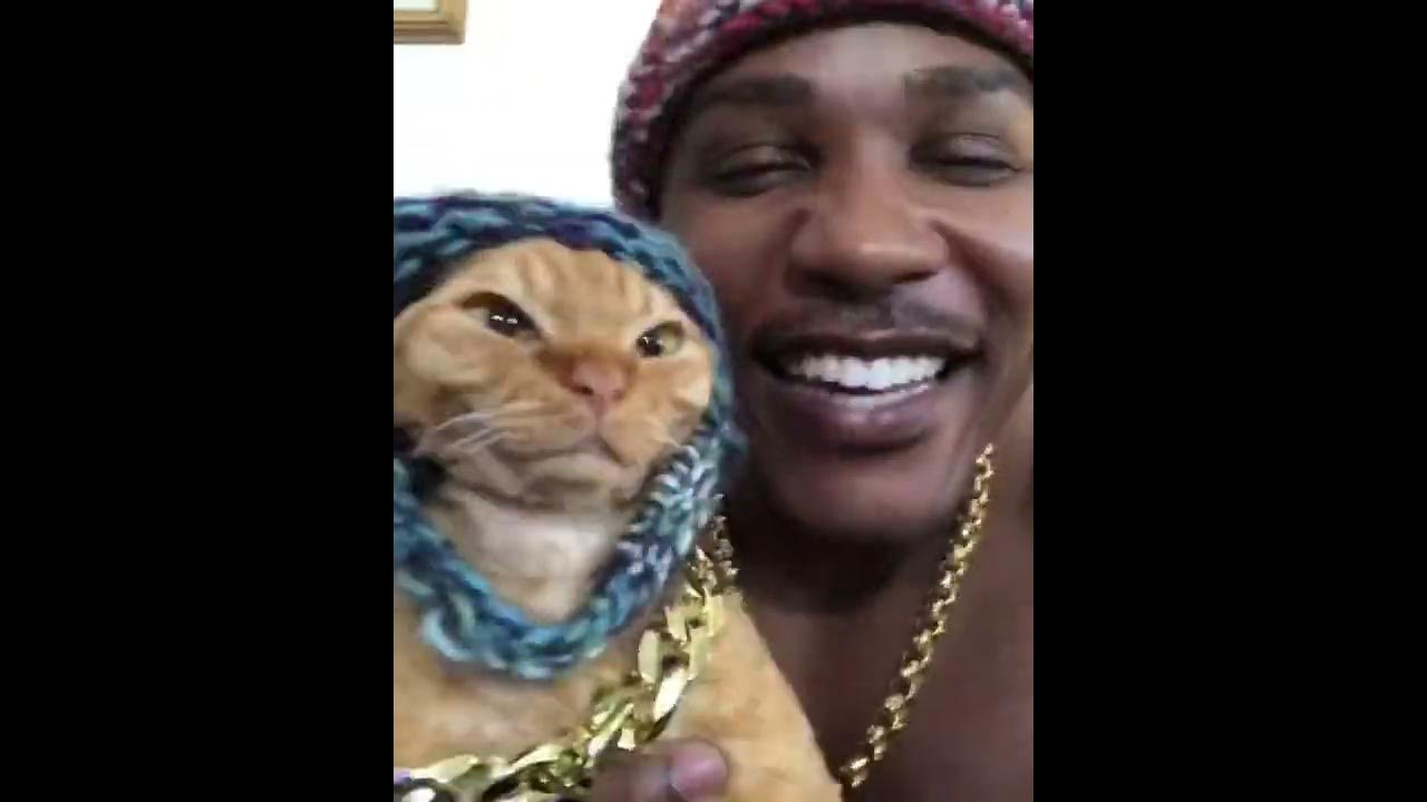 In my feelings Cat Rap Challenge - iAmMoshow & Dj Ravioli - YouTube