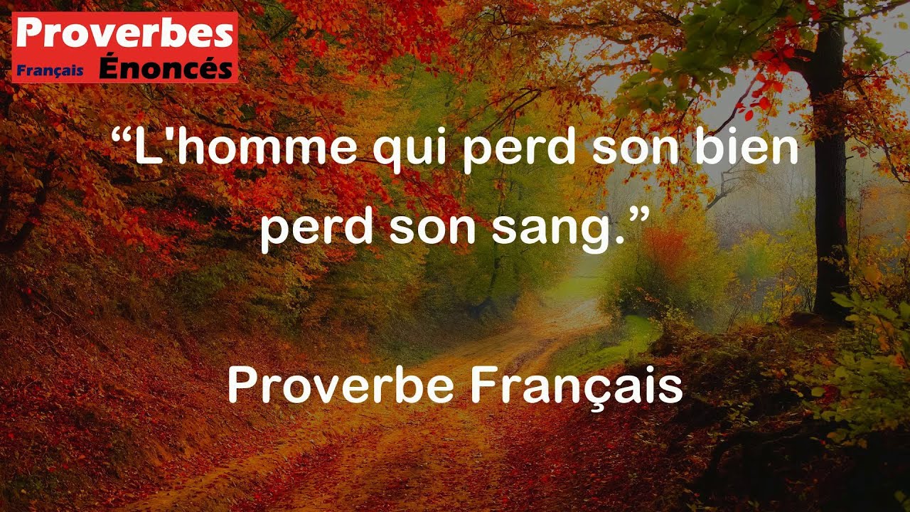 Proverbe Français - L'homme qui perd son bien perd son sang. - YouTube