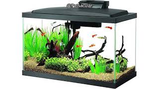 Aqueon Aquarium Fish Tank Starter Kit Review Is It Worth The Investment For Beginners?