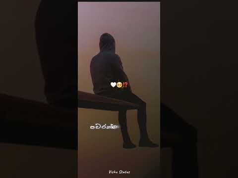 Music Video