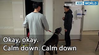 Okay, okay. Calm down. Calm down (Dogs are incredible EP.120-4) | KBS WORLD TV 220503