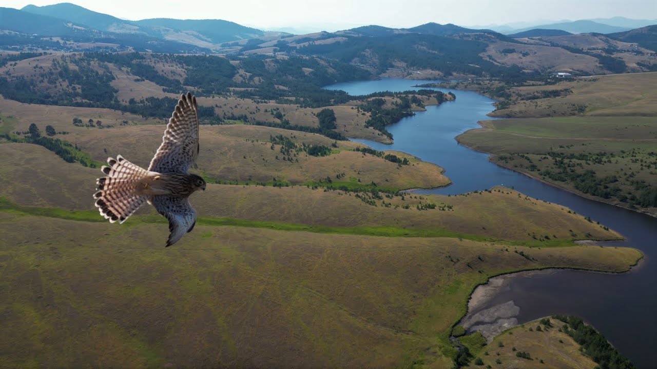 Zlatibor Ribničko jezero, Avgust 2023