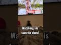 Cat TV for Cats - Catching the latest episode with Orioles and Squirrels #cattv