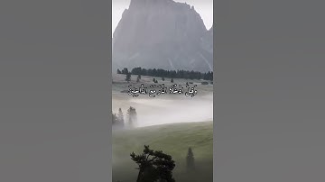 واتس اب قران كريم القارئ ماهر المعيقلي (سوره التحريم)