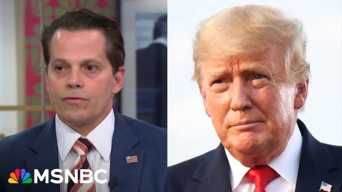Anthony Scaramucci Trump Will Hurt Anybody Anything In His Way
