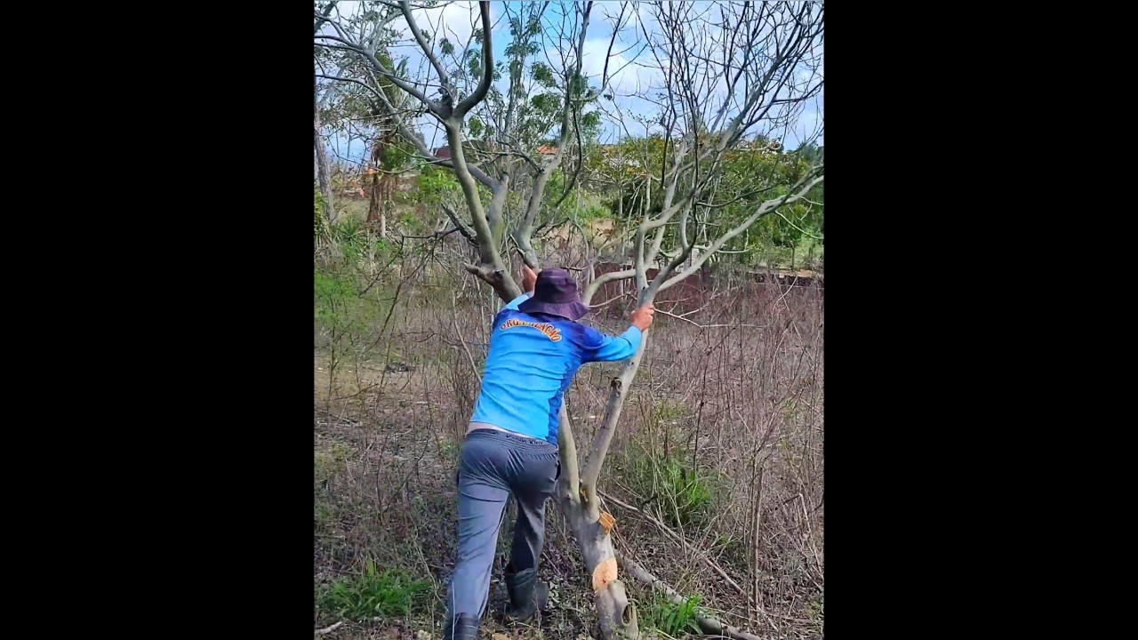 Pense num cara bruto 