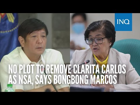 No plot to remove Clarita Carlos as NSA, says Bongbong Marcos