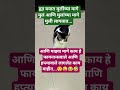 काय हे फायनान्सवाले आणि हप्त्यावाले लागलेत काय माहीत😜 #funnycat #ladoo #trending #ytshorts #viral