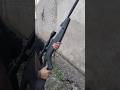 Silent Airgun Bird Hunting Field Shots | Airgun Bird Hunting Ultimate Accuracy Test