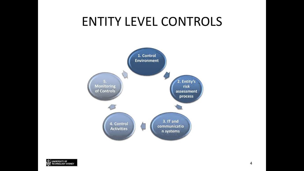 Topic 7 - Testing internal controls - YouTube