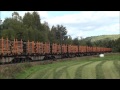 Rush Rail 185 412 5 Ved Leksand D 6 9 2013 Rush Rail 185 412 5 Ved Leksand D 6 9 2013