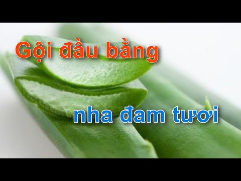 Gội đầu bằng nha đam tươi, trị gàu, ngứa, nấm da đầu, rụng tóc, tóc bạc | KhanhNhu channel