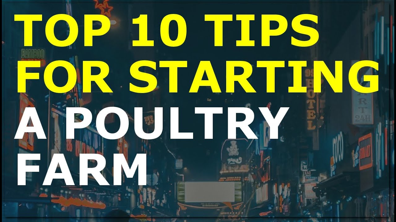 how-to-start-a-poultry-farm-business-free-poultry-farm-business-plan