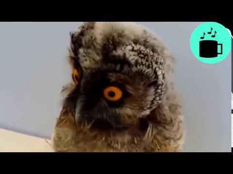 ბუმ ხალხი შოკში ჩააგდო :D