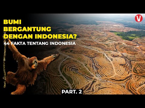 Video: 44 Fakta Menarik Mengenai Artifak Sejarah