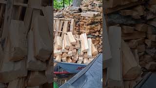 Ponderosa firewood processed