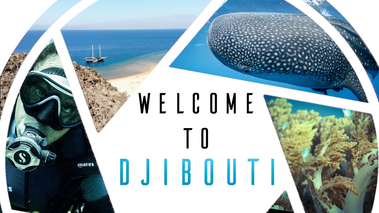 Discover Djibouti - An amazing adventure underwater and on land !