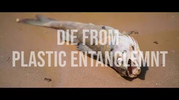 Purposive Communication