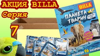Обзор акции BILLA. 📗 Книга-альбом - Планета животных, серия 7 (Не Льорки) Обзор акции BILLA. 📗 Книга-альбом - Планета животных, серия 7 (Не Льорки)