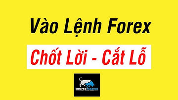 BÀI 15 - Hướng dẫn cách đặt Chốt Lời (Take Profit) và Chốt Lỗ (Stop loss) trên mt4| CHN PRO TRADING