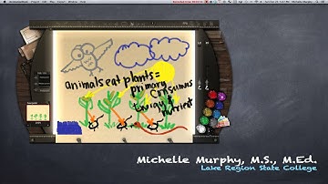 150 food web animation