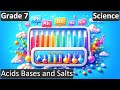 Tasting Chemistry: The Role of Acids Bases and Salts in Our Food