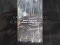 KANYE PERFORMS AIRMAN LIVE⁉️ #kanye #drake #iceman #shorts