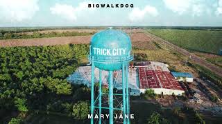 Bigwalkdog - Mary Jane Official Audio