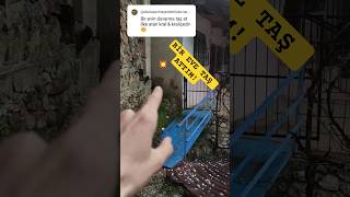 Bir Eve Taş Attım Sıradaki Görev Ne Olsun? Şfet Şfetedüş