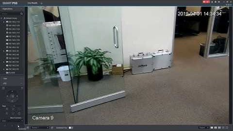 How to Use PTZ Scan In SmartPSS